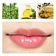 lip oil gloss